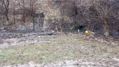 Winton Rain Garden 2014 (17)